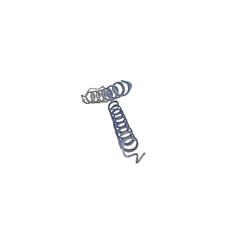 31008_7e82_r_v1-3
Cryo-EM structure of the flagellar rod with partial hook from Salmonella