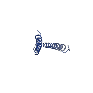 31008_7e82_s_v1-2
Cryo-EM structure of the flagellar rod with partial hook from Salmonella