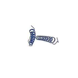 31008_7e82_s_v1-3
Cryo-EM structure of the flagellar rod with partial hook from Salmonella