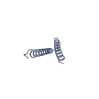 31008_7e82_u_v1-2
Cryo-EM structure of the flagellar rod with partial hook from Salmonella