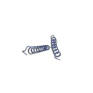 31008_7e82_u_v1-3
Cryo-EM structure of the flagellar rod with partial hook from Salmonella