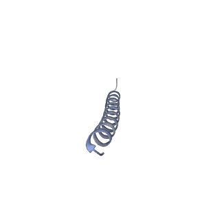 31008_7e82_v_v1-3
Cryo-EM structure of the flagellar rod with partial hook from Salmonella