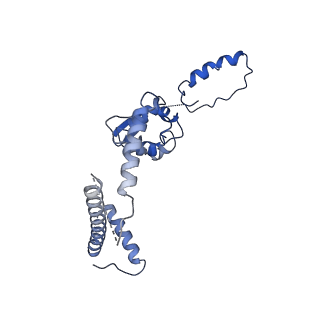 31009_7e83_C_v1-1
CryoEM structure of the human Kv4.2-KChIP1 complex, intracellular region