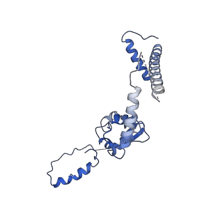 31009_7e83_D_v1-1
CryoEM structure of the human Kv4.2-KChIP1 complex, intracellular region