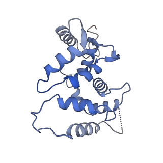 31009_7e83_E_v1-1
CryoEM structure of the human Kv4.2-KChIP1 complex, intracellular region