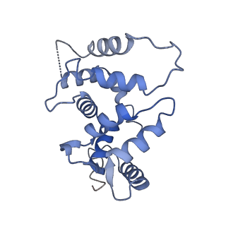 31009_7e83_F_v1-1
CryoEM structure of the human Kv4.2-KChIP1 complex, intracellular region