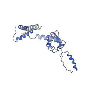 31009_7e83_G_v1-1
CryoEM structure of the human Kv4.2-KChIP1 complex, intracellular region