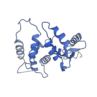 31009_7e83_H_v1-1
CryoEM structure of the human Kv4.2-KChIP1 complex, intracellular region