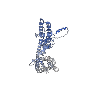 31010_7e84_A_v1-1
CryoEM structure of human Kv4.2-KChIP1 complex