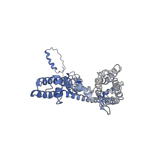 31010_7e84_B_v1-1
CryoEM structure of human Kv4.2-KChIP1 complex