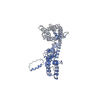 31010_7e84_D_v1-1
CryoEM structure of human Kv4.2-KChIP1 complex