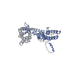 31010_7e84_G_v1-1
CryoEM structure of human Kv4.2-KChIP1 complex
