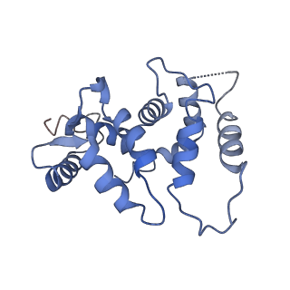 31010_7e84_H_v1-1
CryoEM structure of human Kv4.2-KChIP1 complex