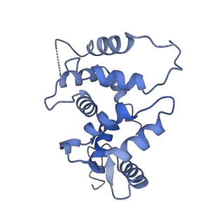 31010_7e84_J_v1-1
CryoEM structure of human Kv4.2-KChIP1 complex