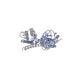 31011_7e87_A_v1-1
CryoEM structure of the human Kv4.2-DPP6S complex, transmembrane and intracellular region