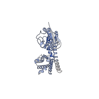 31011_7e87_C_v1-1
CryoEM structure of the human Kv4.2-DPP6S complex, transmembrane and intracellular region