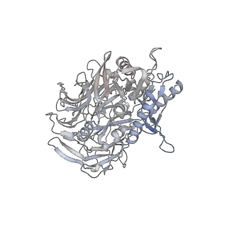 31012_7e89_A_v1-1
CryoEM structure of human Kv4.2-DPP6S complex, extracellular region