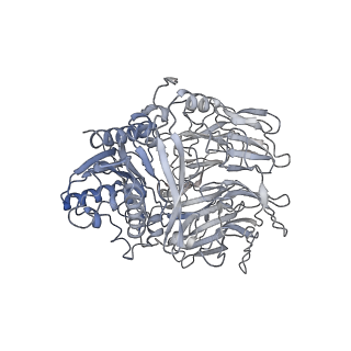 31012_7e89_B_v1-1
CryoEM structure of human Kv4.2-DPP6S complex, extracellular region