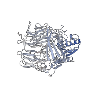 31012_7e89_I_v1-1
CryoEM structure of human Kv4.2-DPP6S complex, extracellular region
