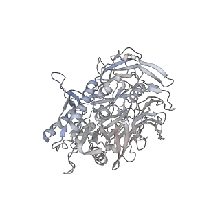31012_7e89_J_v1-1
CryoEM structure of human Kv4.2-DPP6S complex, extracellular region