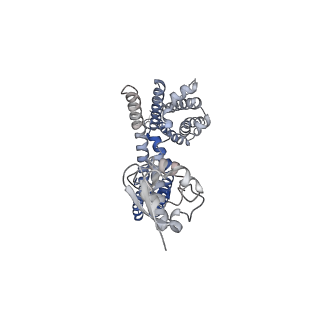 31013_7e8b_B_v1-1
CryoEM structure of human Kv4.2-DPP6S complex