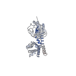 31013_7e8b_D_v1-1
CryoEM structure of human Kv4.2-DPP6S complex