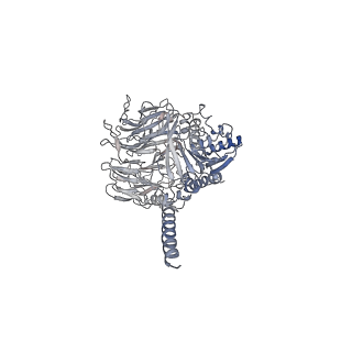 31013_7e8b_I_v1-1
CryoEM structure of human Kv4.2-DPP6S complex