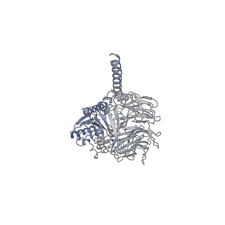 31013_7e8b_K_v1-1
CryoEM structure of human Kv4.2-DPP6S complex