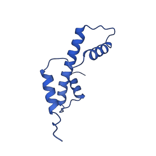 31015_7e8d_A_v1-1
NSD2 E1099K mutant bound to nucleosome