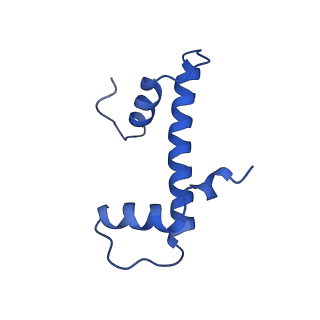 31015_7e8d_B_v1-1
NSD2 E1099K mutant bound to nucleosome