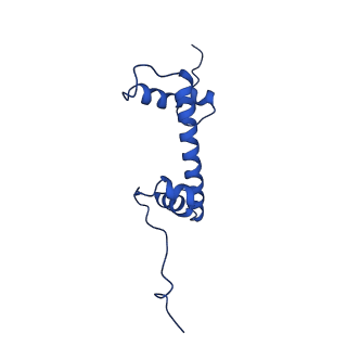 31015_7e8d_C_v1-1
NSD2 E1099K mutant bound to nucleosome