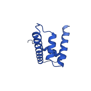 31015_7e8d_D_v1-1
NSD2 E1099K mutant bound to nucleosome