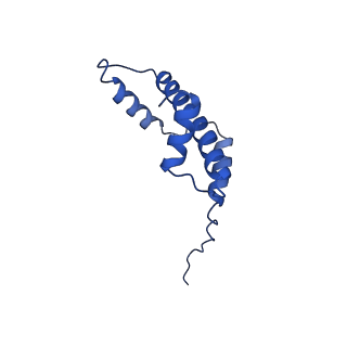31015_7e8d_E_v1-1
NSD2 E1099K mutant bound to nucleosome