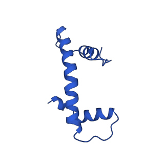 31015_7e8d_F_v1-1
NSD2 E1099K mutant bound to nucleosome