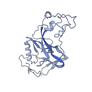 31015_7e8d_K_v1-1
NSD2 E1099K mutant bound to nucleosome