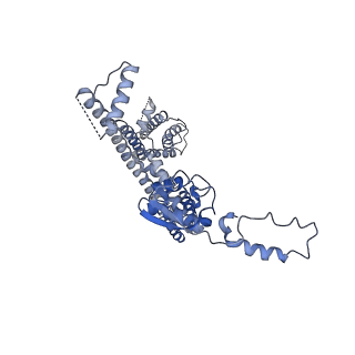 31016_7e8e_A_v1-1
CryoEM structure of human Kv4.2-DPP6S-KChIP1 complex, transmembrane and intracellular region