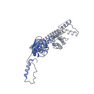 31016_7e8e_B_v1-1
CryoEM structure of human Kv4.2-DPP6S-KChIP1 complex, transmembrane and intracellular region