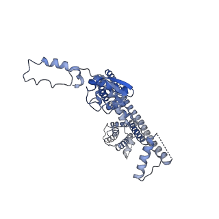 31016_7e8e_C_v1-1
CryoEM structure of human Kv4.2-DPP6S-KChIP1 complex, transmembrane and intracellular region