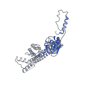 31016_7e8e_D_v1-1
CryoEM structure of human Kv4.2-DPP6S-KChIP1 complex, transmembrane and intracellular region
