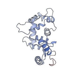 31016_7e8e_E_v1-1
CryoEM structure of human Kv4.2-DPP6S-KChIP1 complex, transmembrane and intracellular region