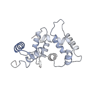 31016_7e8e_F_v1-1
CryoEM structure of human Kv4.2-DPP6S-KChIP1 complex, transmembrane and intracellular region