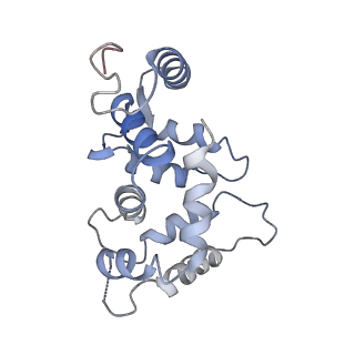 31016_7e8e_G_v1-1
CryoEM structure of human Kv4.2-DPP6S-KChIP1 complex, transmembrane and intracellular region