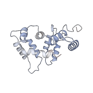 31016_7e8e_H_v1-1
CryoEM structure of human Kv4.2-DPP6S-KChIP1 complex, transmembrane and intracellular region