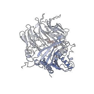 31018_7e8g_I_v1-1
CryoEM structure of human Kv4.2-DPP6S-KChIP1 complex, extracellular region
