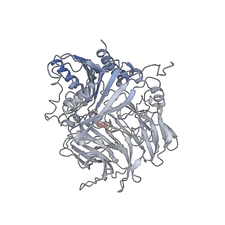 31018_7e8g_K_v1-1
CryoEM structure of human Kv4.2-DPP6S-KChIP1 complex, extracellular region