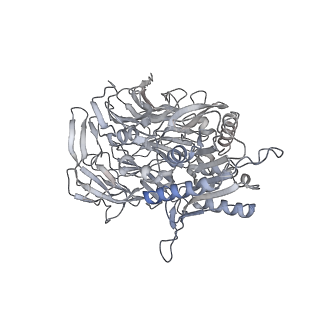 31018_7e8g_L_v1-1
CryoEM structure of human Kv4.2-DPP6S-KChIP1 complex, extracellular region