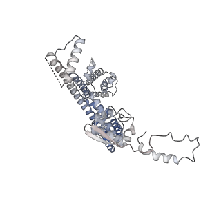 31019_7e8h_A_v1-1
CryoEM structure of human Kv4.2-DPP6S-KChIP1 complex