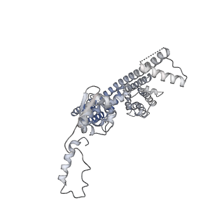 31019_7e8h_B_v1-1
CryoEM structure of human Kv4.2-DPP6S-KChIP1 complex