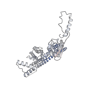 31019_7e8h_D_v1-1
CryoEM structure of human Kv4.2-DPP6S-KChIP1 complex