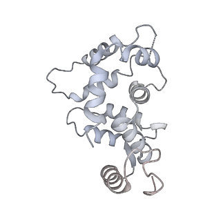 31019_7e8h_E_v1-1
CryoEM structure of human Kv4.2-DPP6S-KChIP1 complex